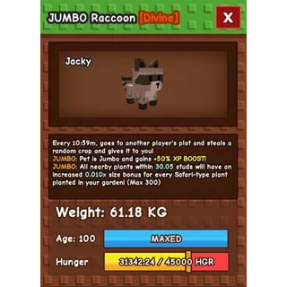 JUMBO 61+KG RACCOON  
