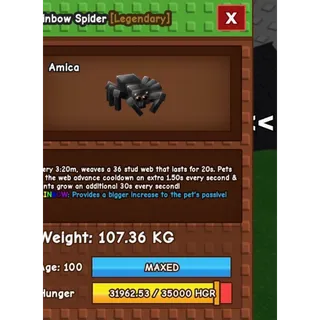 RAINBOW 🌈 SPIDER 107.36KG