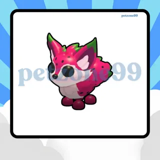 4x DRAGON FRUIT FOX