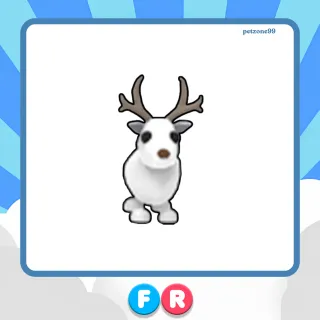 FR ARTIC REINDEER