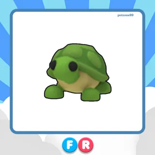 FR TURTLE 