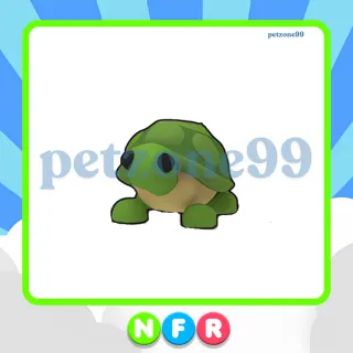 NFR TURTLE 