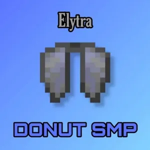 Donut smp elytra 