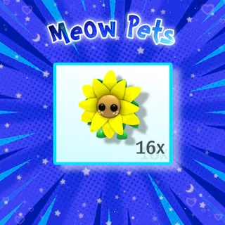 Sunflower Friend