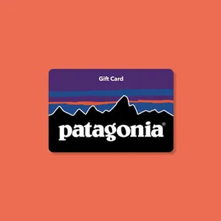 Patagonia gift card 