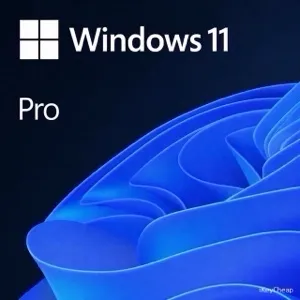 Windows 11 Pro