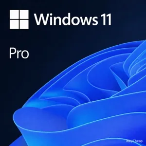 Windows 11 Pro