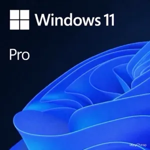 Windows pro 11