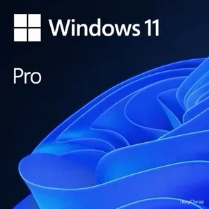 Windows 11 Pro