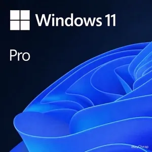 Windows 11 Pro