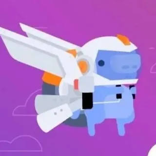 DISCORD NITRO – 3 MONTHS + 2 SERVER BOOSTS