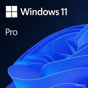 Windows 11 Pro
