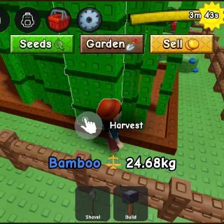 24Kg+ Bamboo 1x | Gag 2