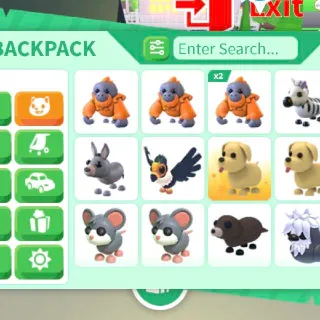 Adopt Me 13x Pets *INSTANT DELIVERY*