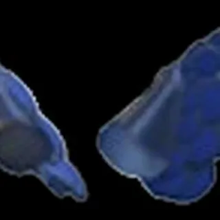 Stygian Owl Wings