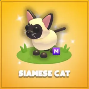 MFR siamese cat
