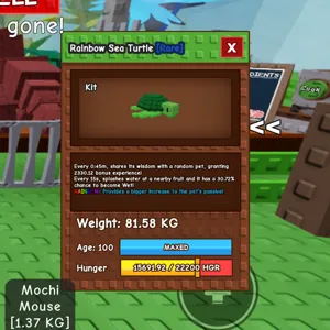 81KG rainbow sea turtle