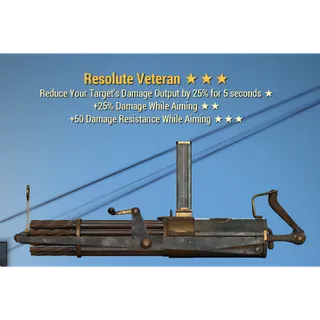 Resolute Veteran Rare legacy weapon 