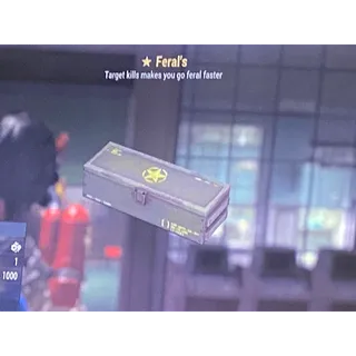 X25 Ferals box mod xbox