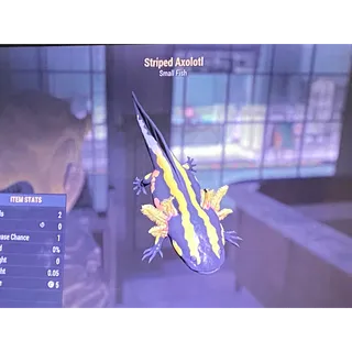 Striped axolotl xbox