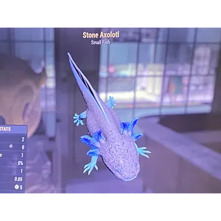 Stone axolotl xbox