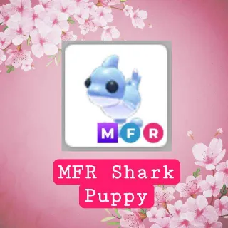 MFR Shark Puppy