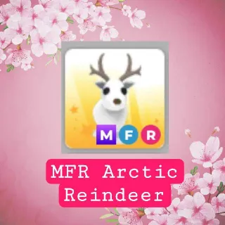 MFR Arctic Reindeer