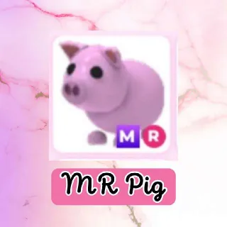 MR Pig