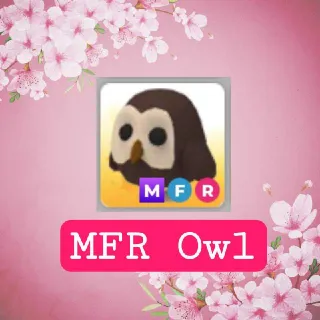 MFR Owl