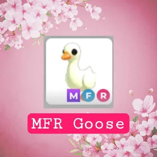 MFR Goose