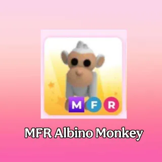 MFR Albino Monkey