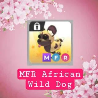 MFR African Wild Dog