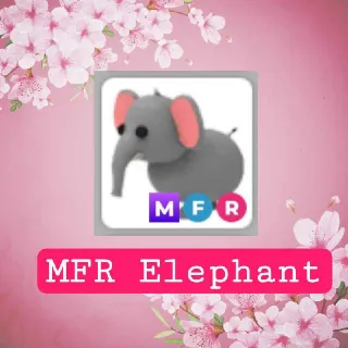MFR Elephant