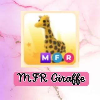 MFR Giraffe