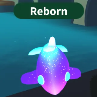 Neon glormy dolphin 