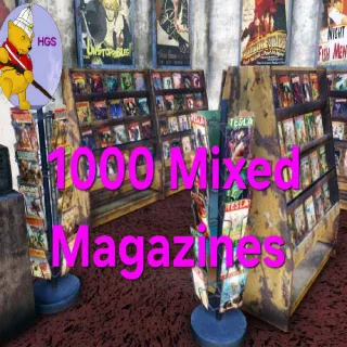 1000 Mixed Magazines