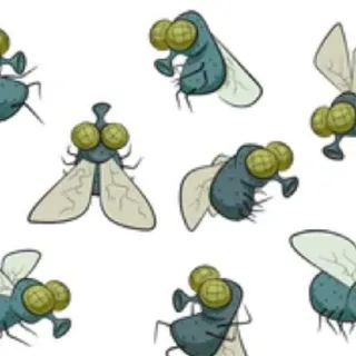 Swarm Of Flies
