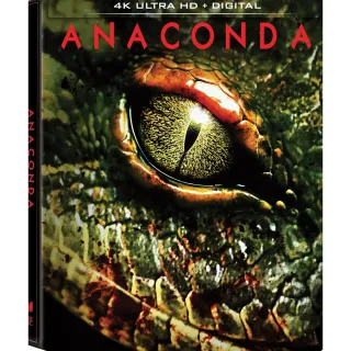 Anaconda