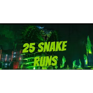 25 Snake Runs