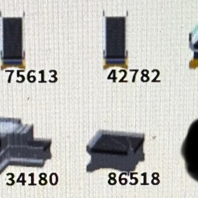 出品写真
