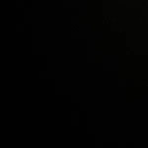 Royale High | Whole Inv