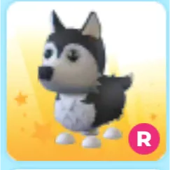 R husky