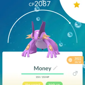 Shiny Swampert | PoGo✨