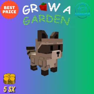 GROW A GARDEN RACCOON + 5 SX SHECKLES