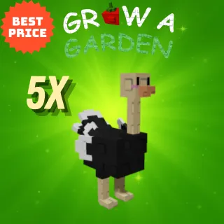 GROW A GARDEN 5X OSTRICH