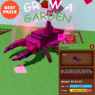 TITANIC NIGHTMARE AMETHYST BEETLE 