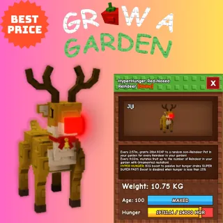 HYPERHUNGER RED-NOSED REINDEER 