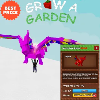 RAINNBOW FROST DRAGON