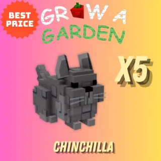 GROW A GARDEN 5X CHINCHILLA 