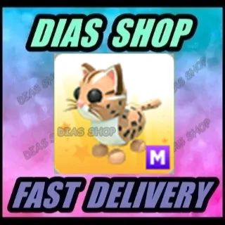Pet | Mega Leopard Cat